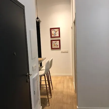 Apartment Estudio Centrico En Punonrostro Seville